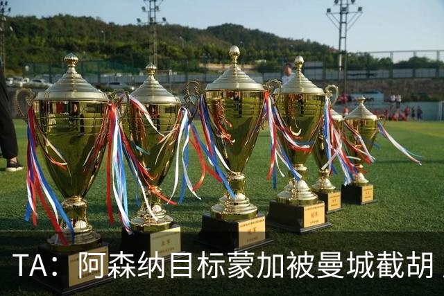 TA：阿森纳目标蒙加被曼城截胡 厄德高没与其他球队达协议